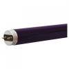 UV Blacklight (8)