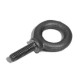 Forged Eyebolt M10 with Shoulder R1737M